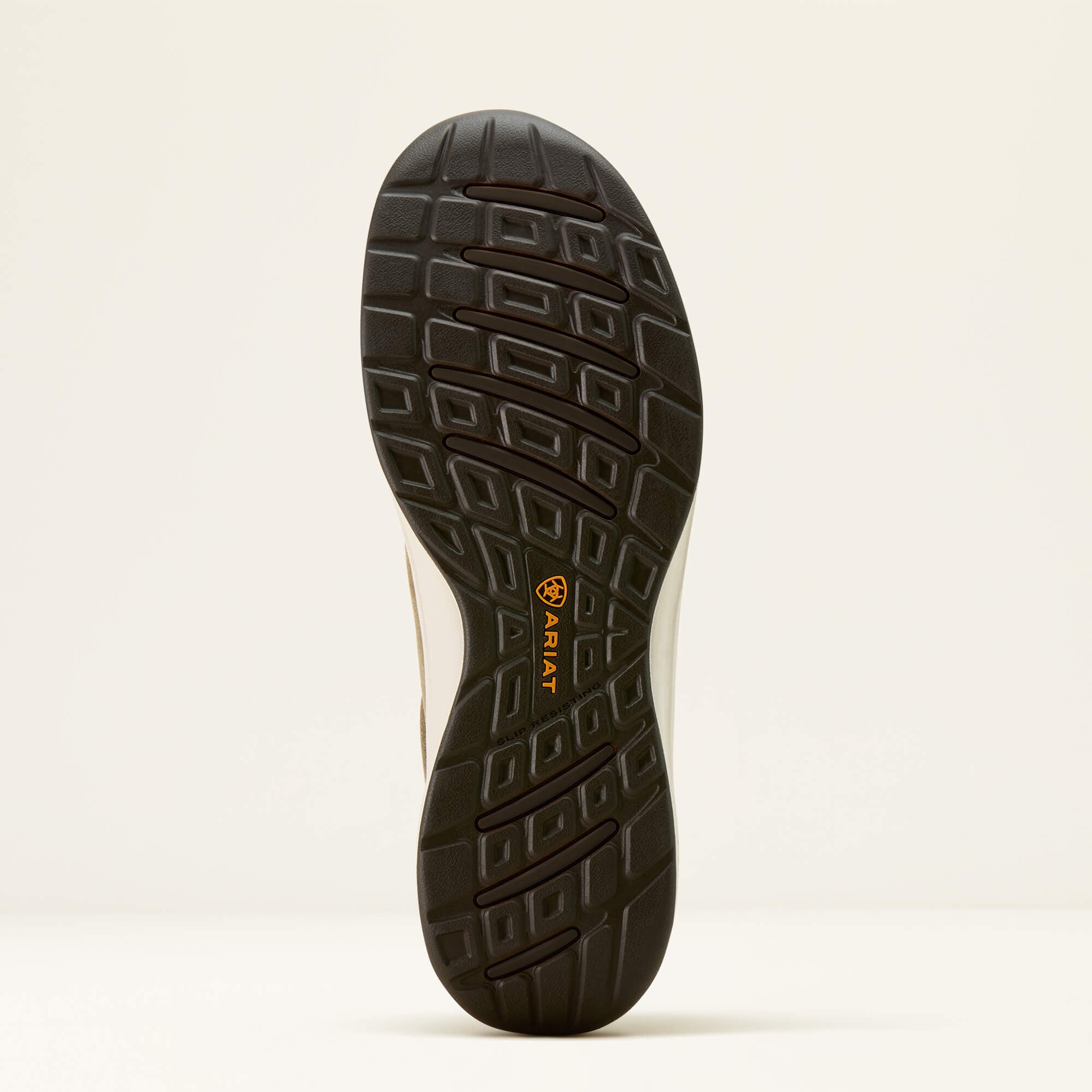 Men Buckeye Steel Toe Work Shoe | Ariat Discount