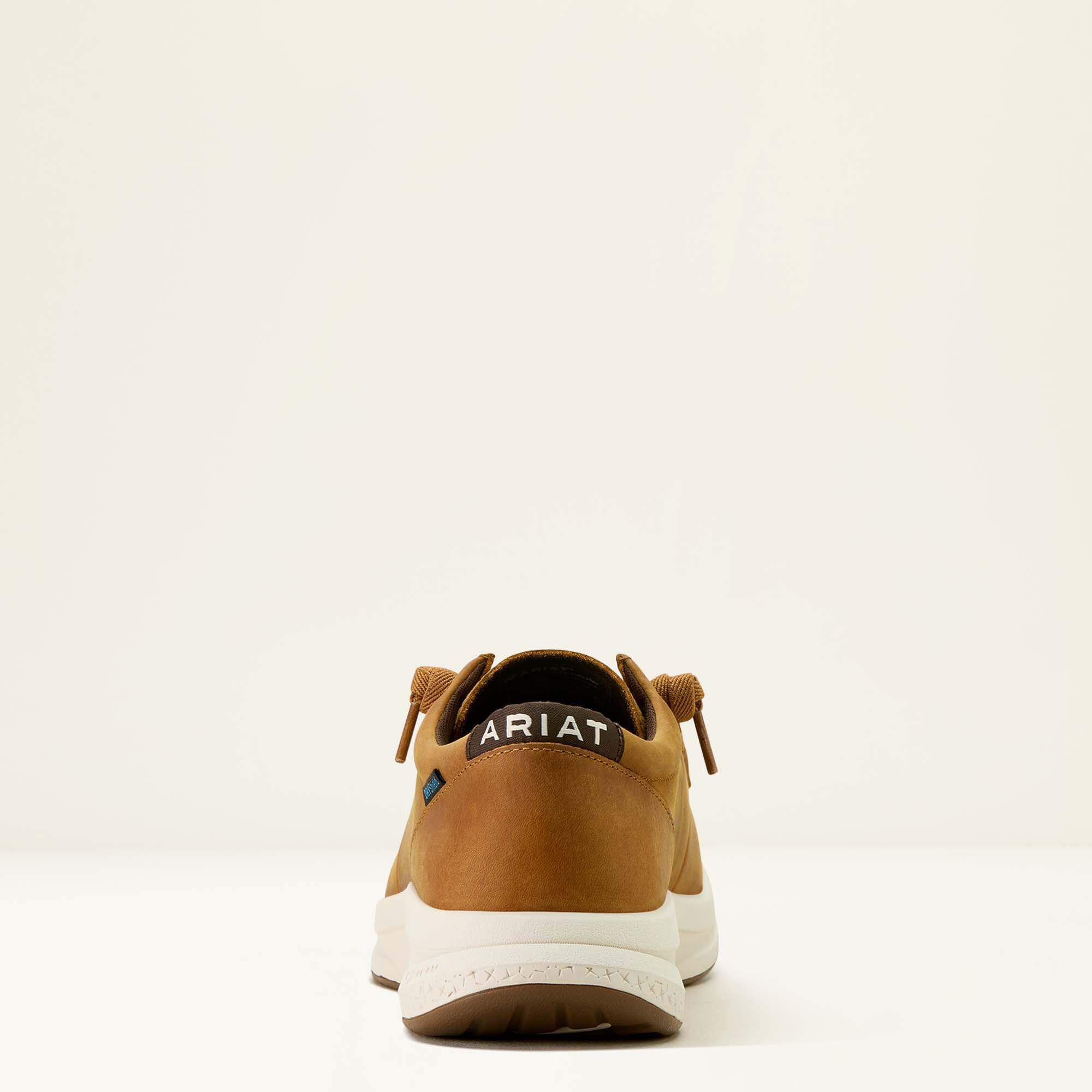 Men Buckeye Waterproof Shoe | Ariat