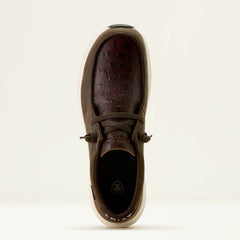 Men Buckeye Waterproof Shoe | Ariat Online