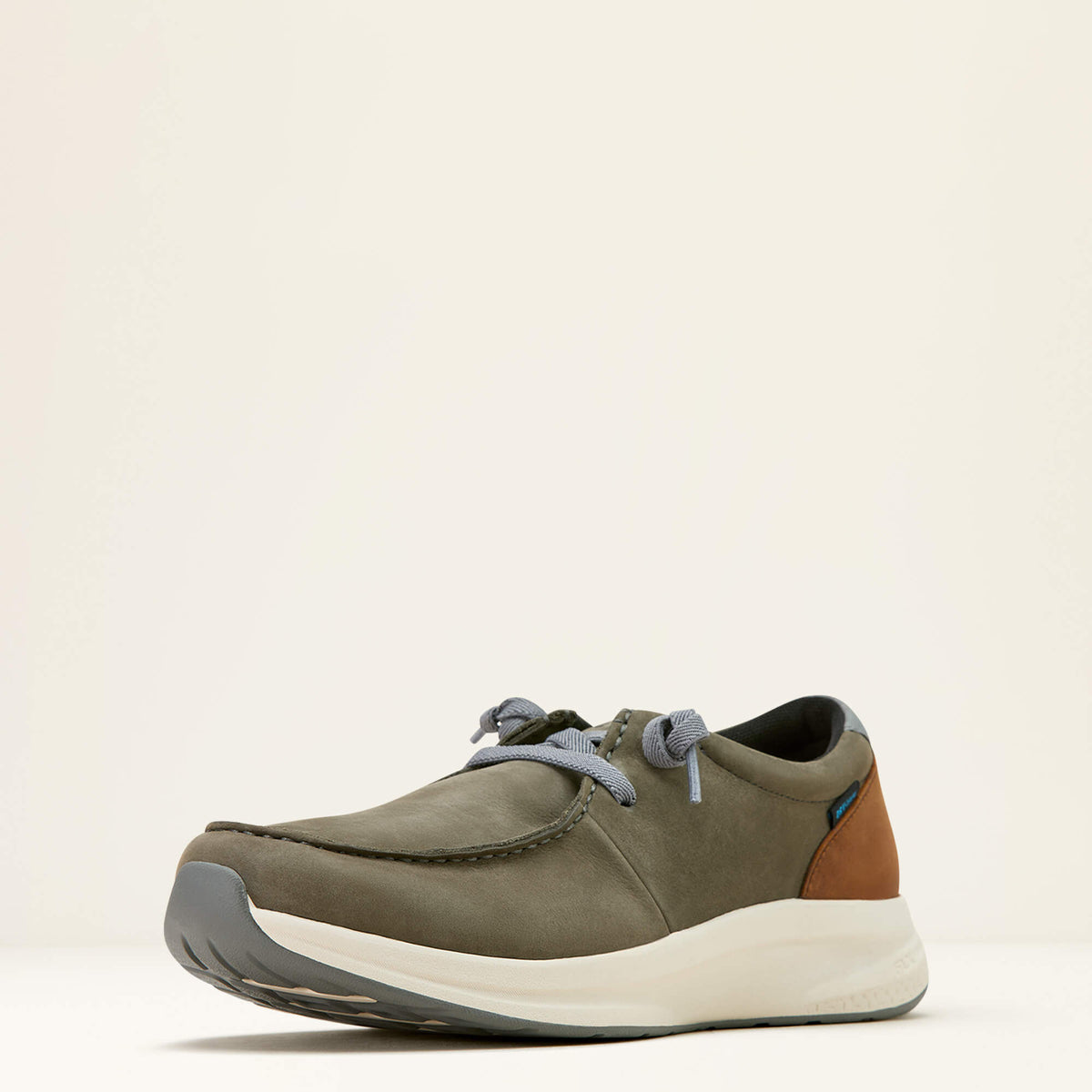 Men Buckeye Waterproof Shoe | Ariat