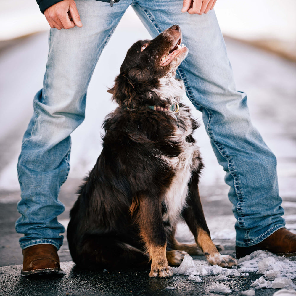 Men|Trends M2 Relaxed Stirling Stretch Boot Cut Jean | Ariat us