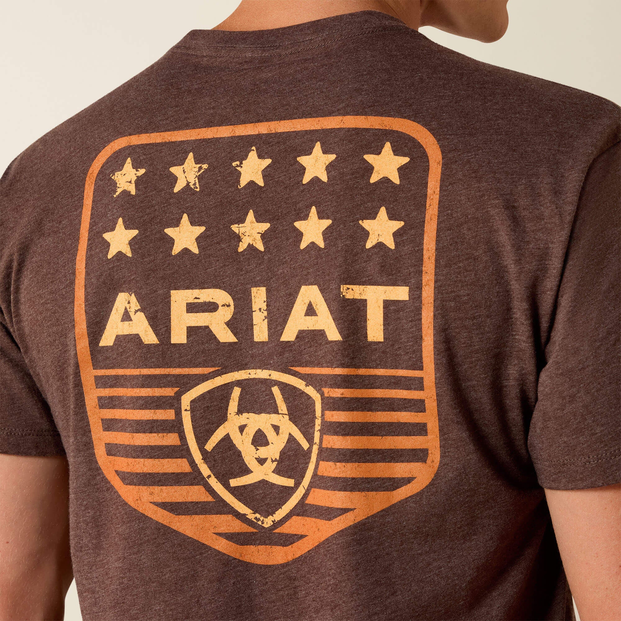 Men Ariat Stripe Patriotic Badge T-Shirt | Ariat on sale