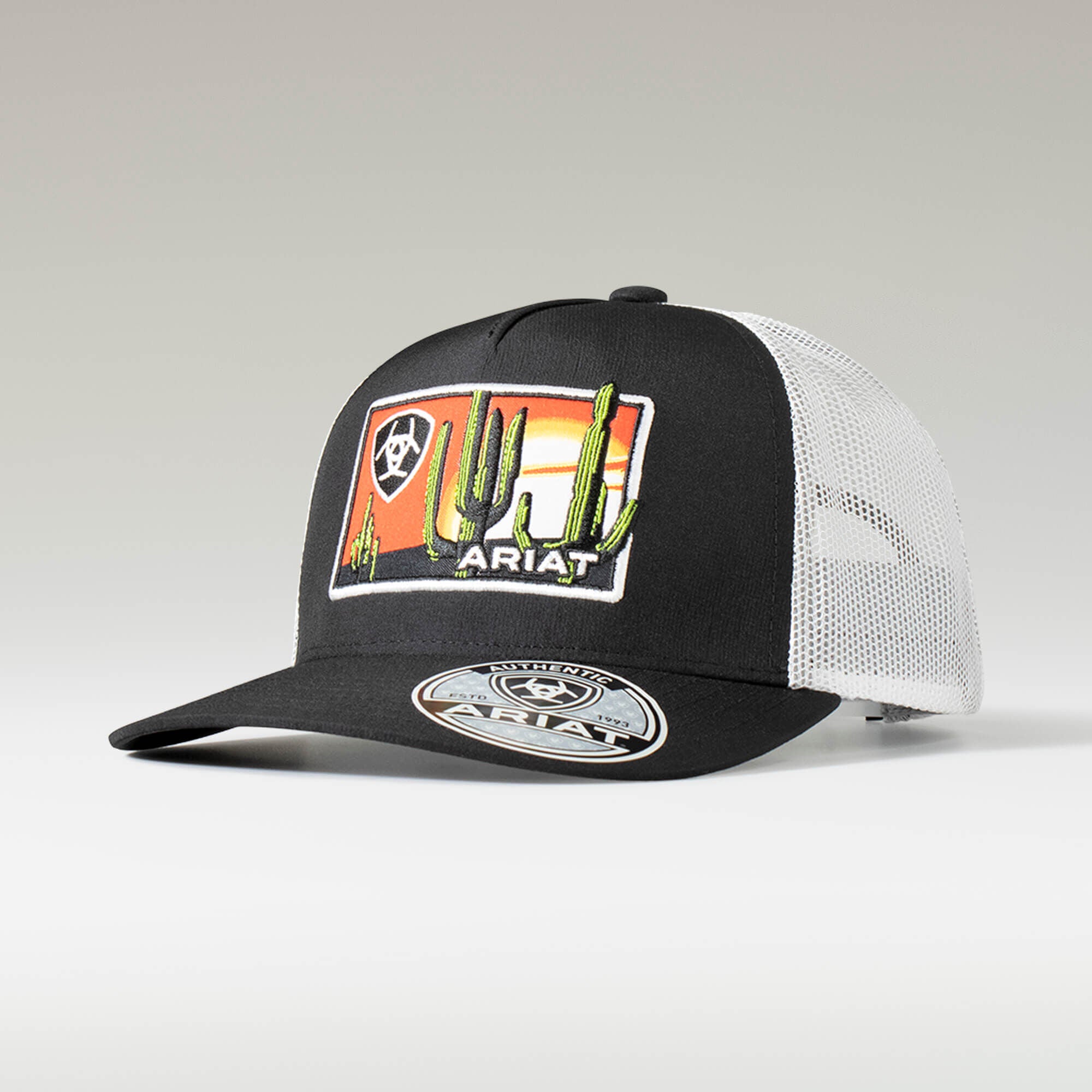 Men Desert Patch Cap | Ariat on sale
