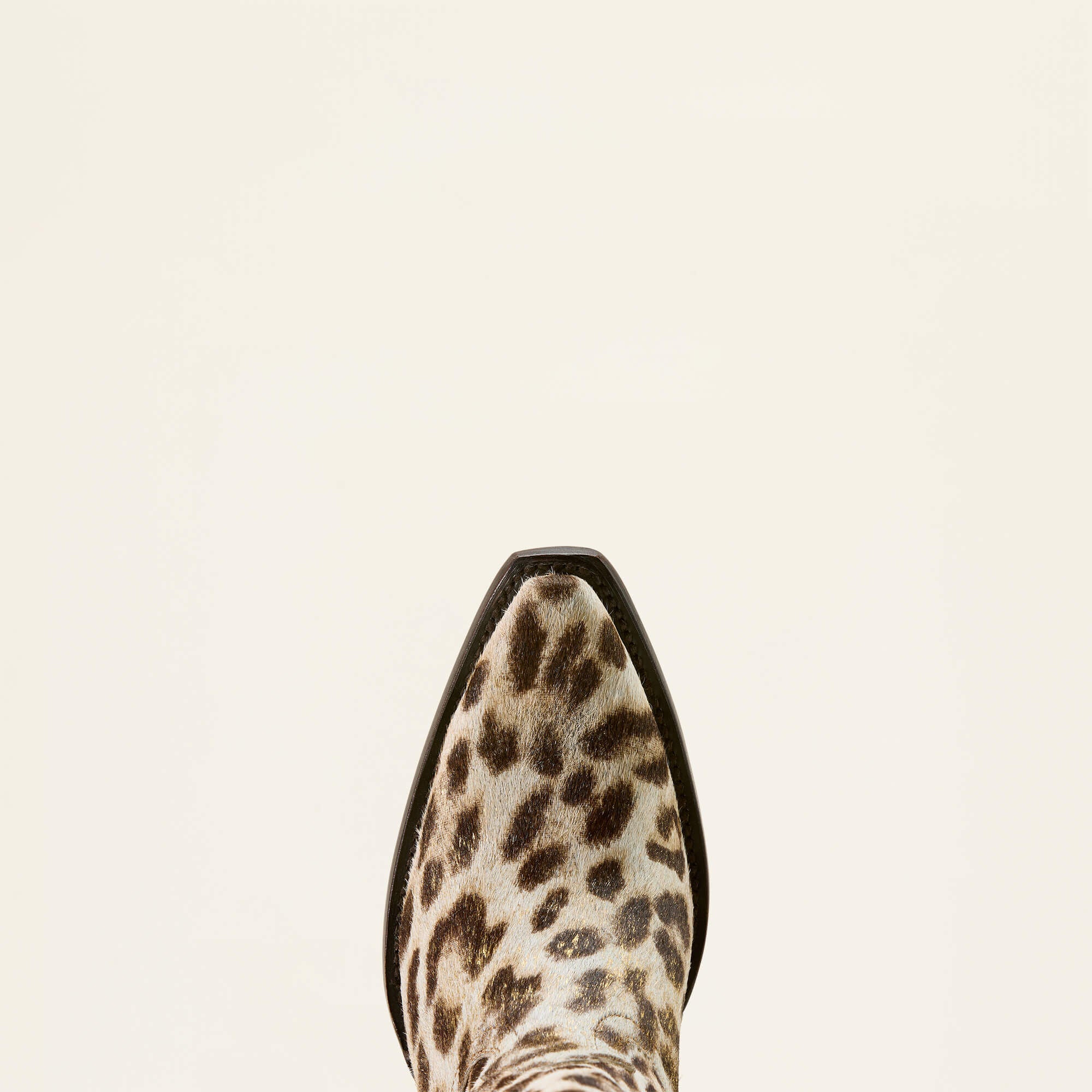 Women|Trends Casanova X Toe Western Boot | Ariat Online