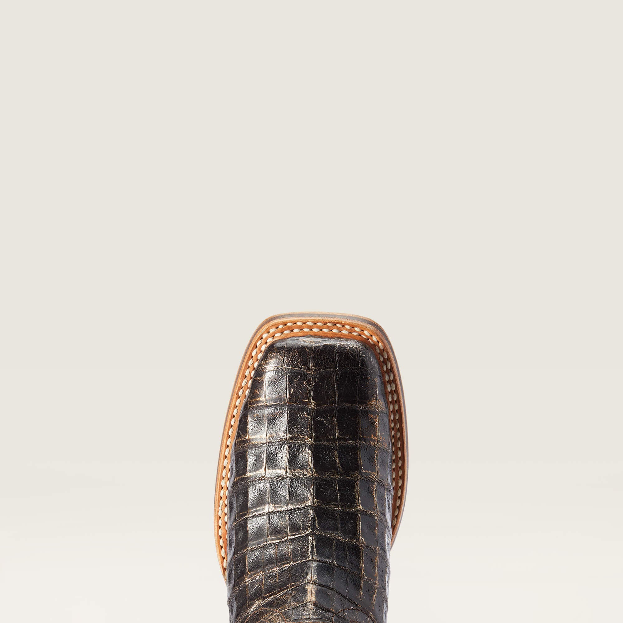 Women|Trends Donatella Western Boot | Ariat Online