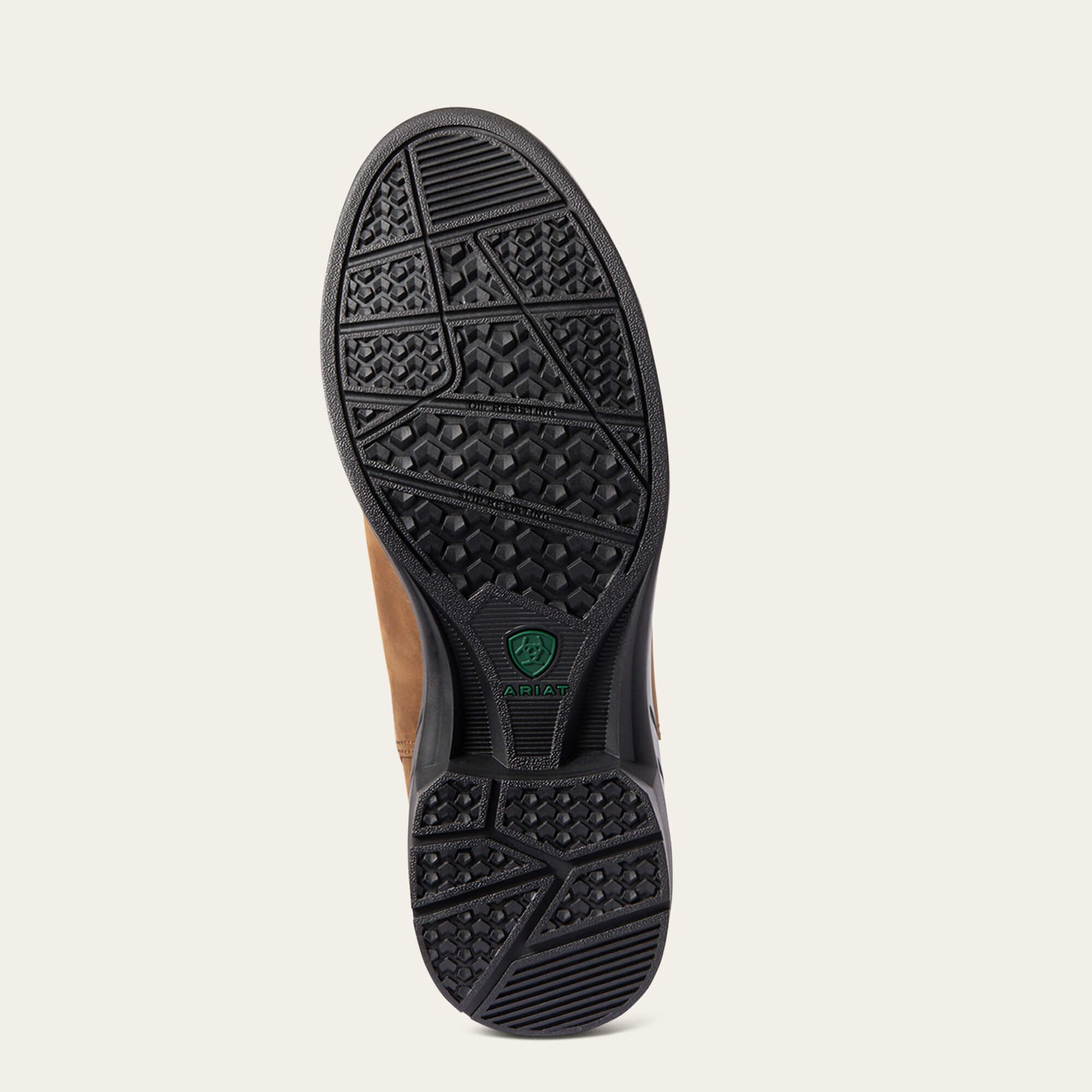 Women Keswick Steel Toe Paddock Boot | Ariat Outlet
