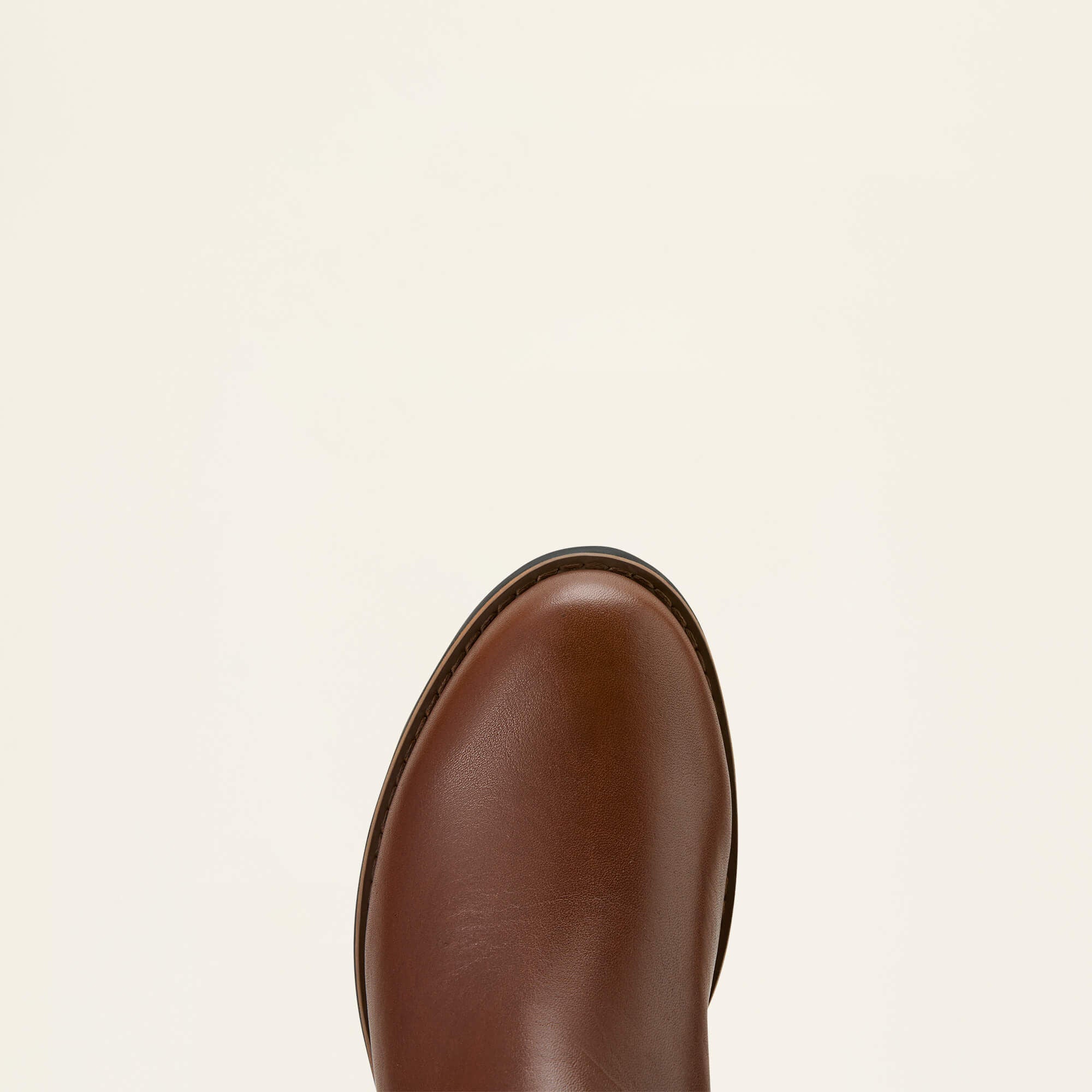 Women|Trends Arlington Waterproof Boot | Ariat on sale
