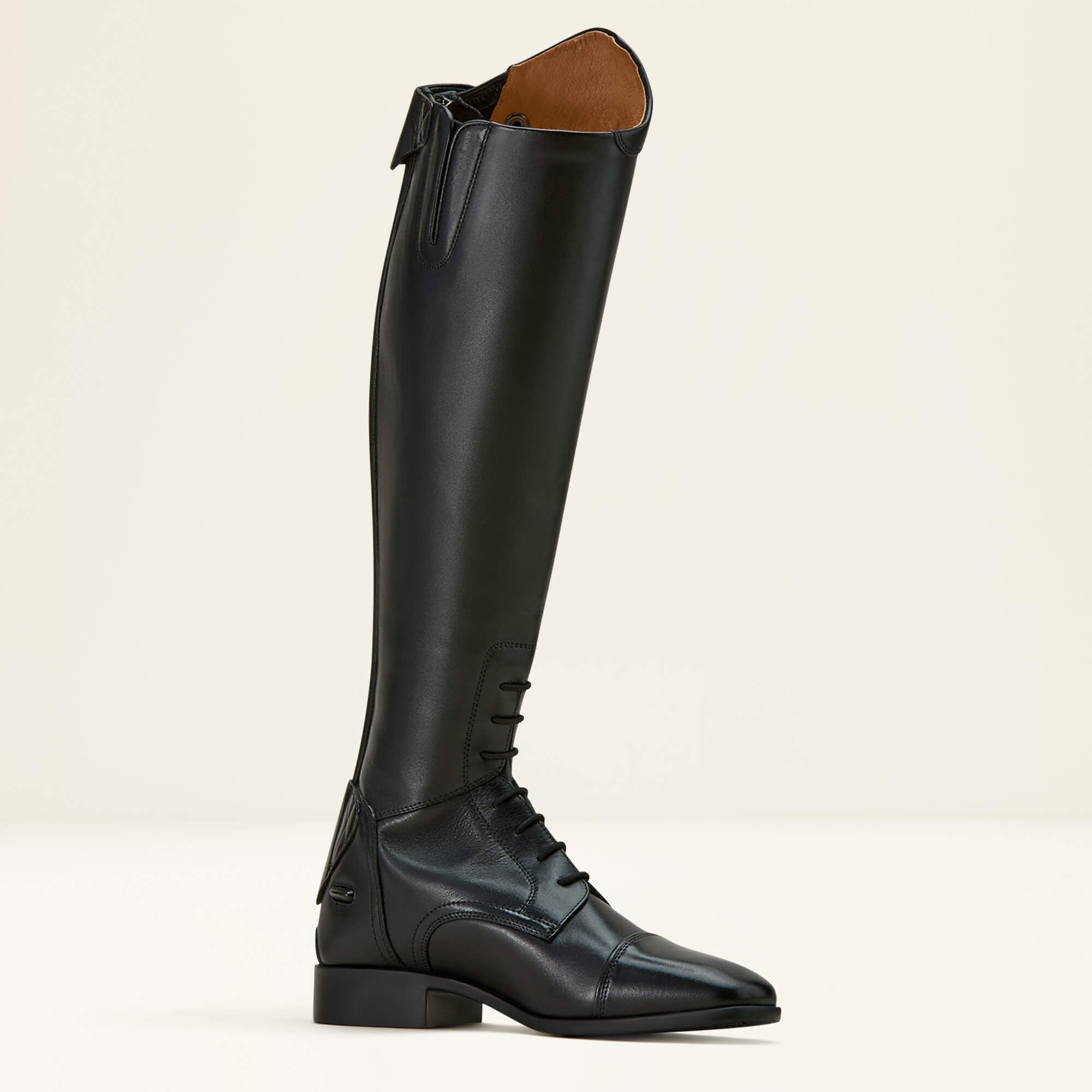 Women Palisade Field Tall Riding Boot | Ariat