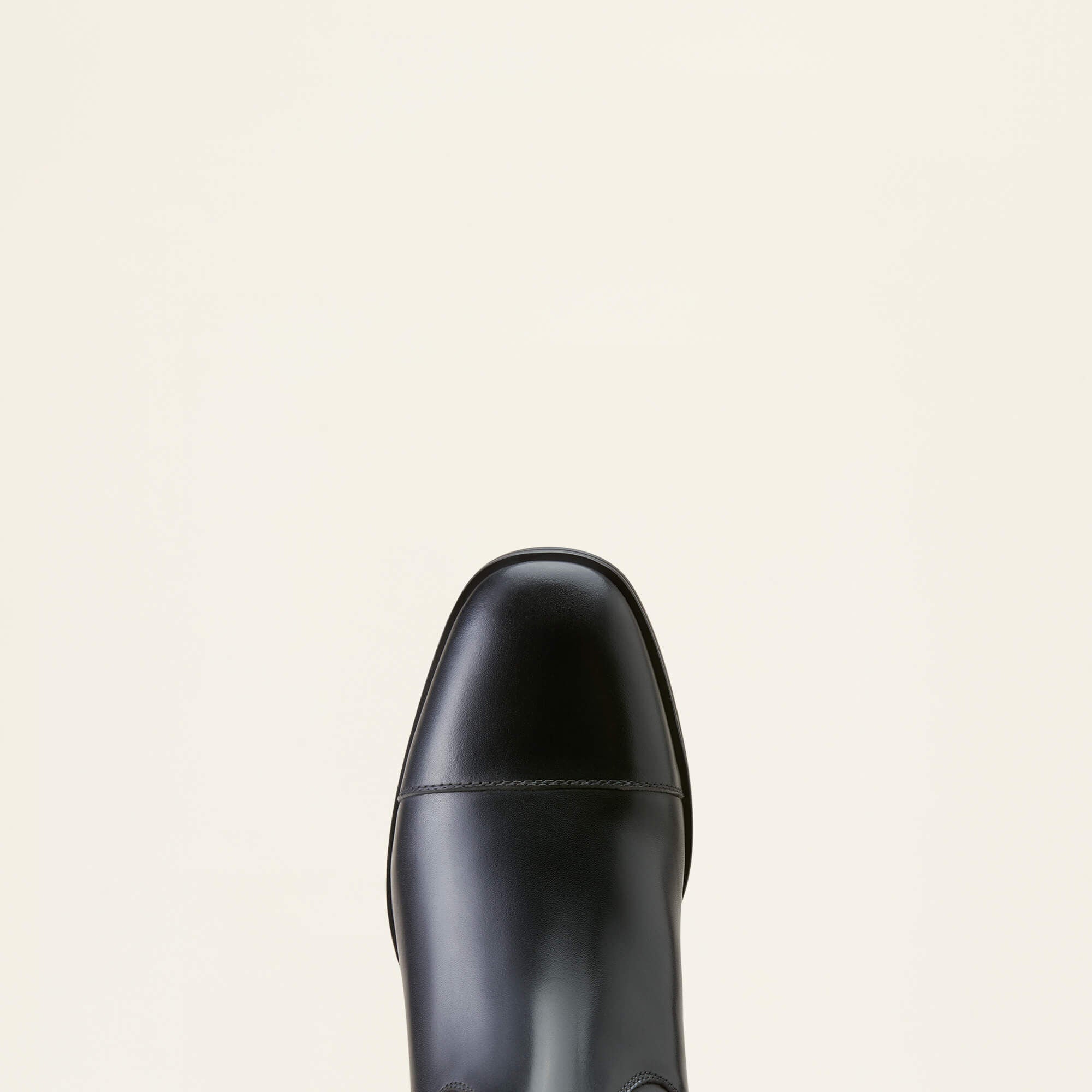 Women Ravello Dress Tall Riding Boot | Ariat Outlet