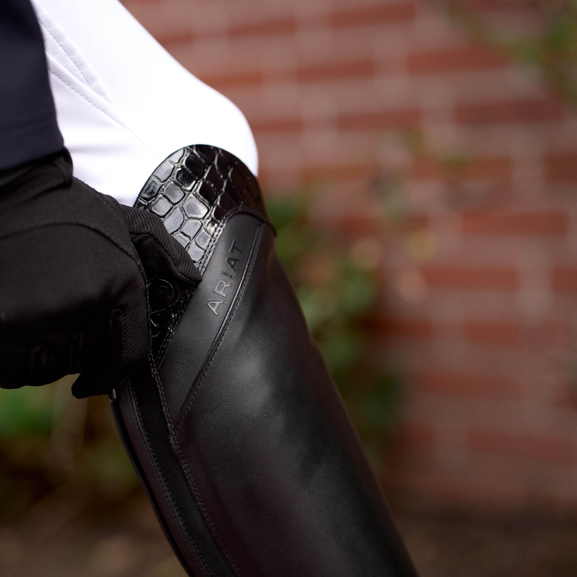Women Palisade Show Tall Riding Boot | Ariat on sale