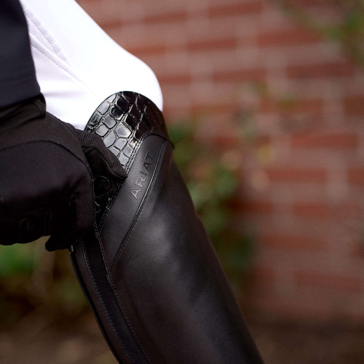 Women Palisade Show Tall Riding Boot | Ariat on sale