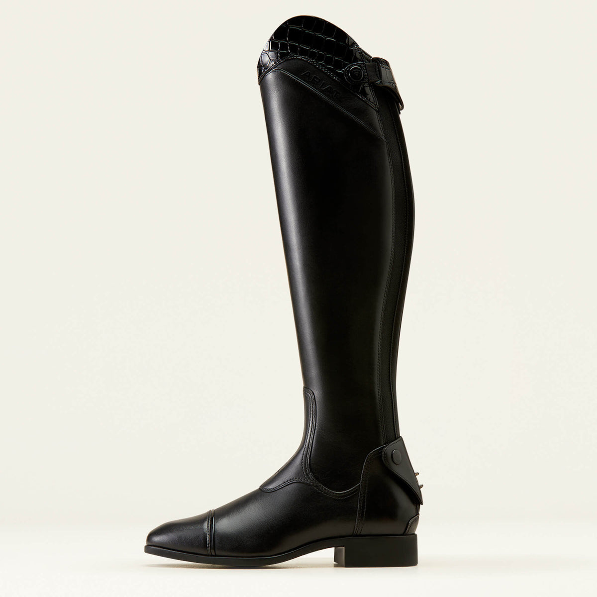 Women Palisade Show Tall Riding Boot | Ariat on sale
