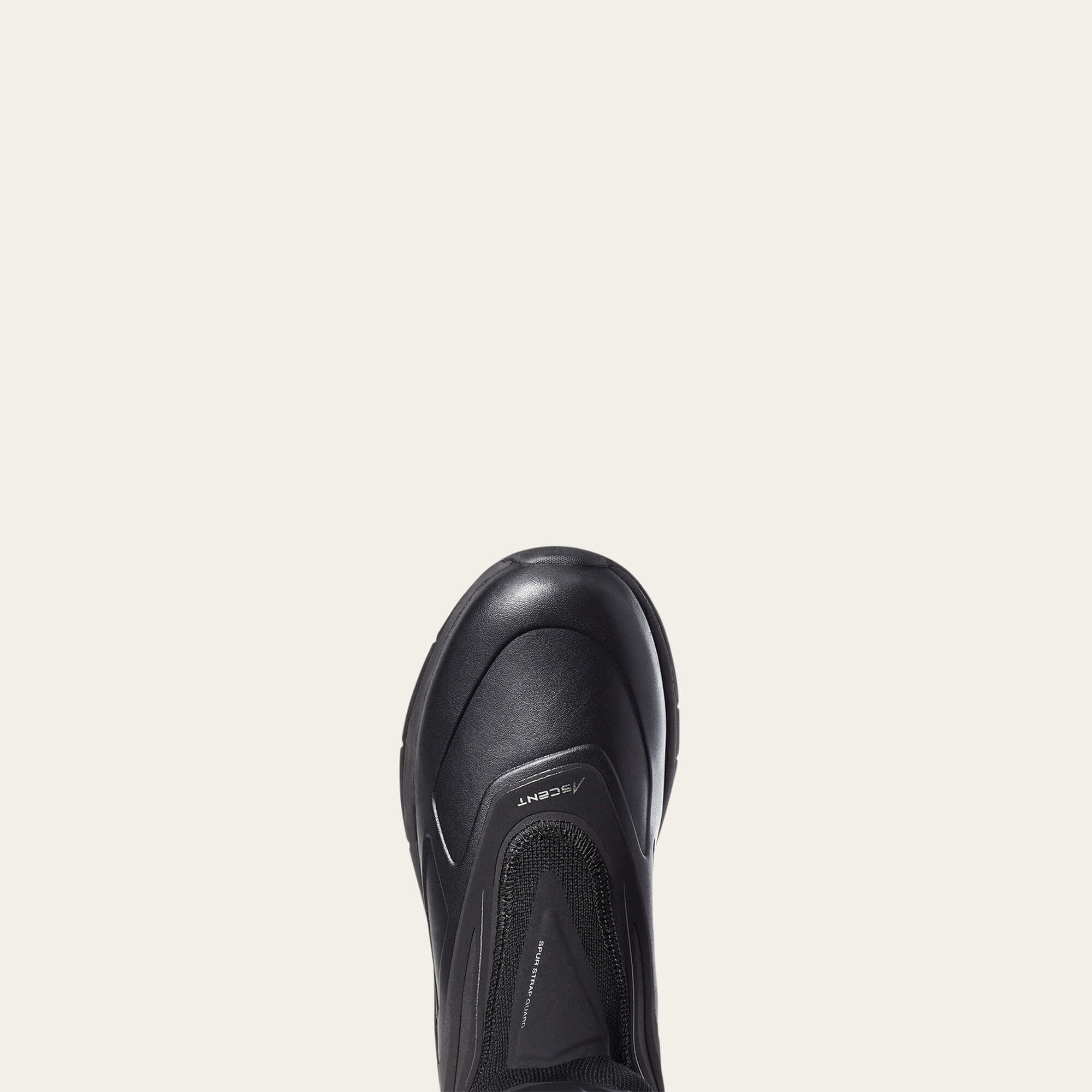 Women Ascent Tall | Ariat for sale
