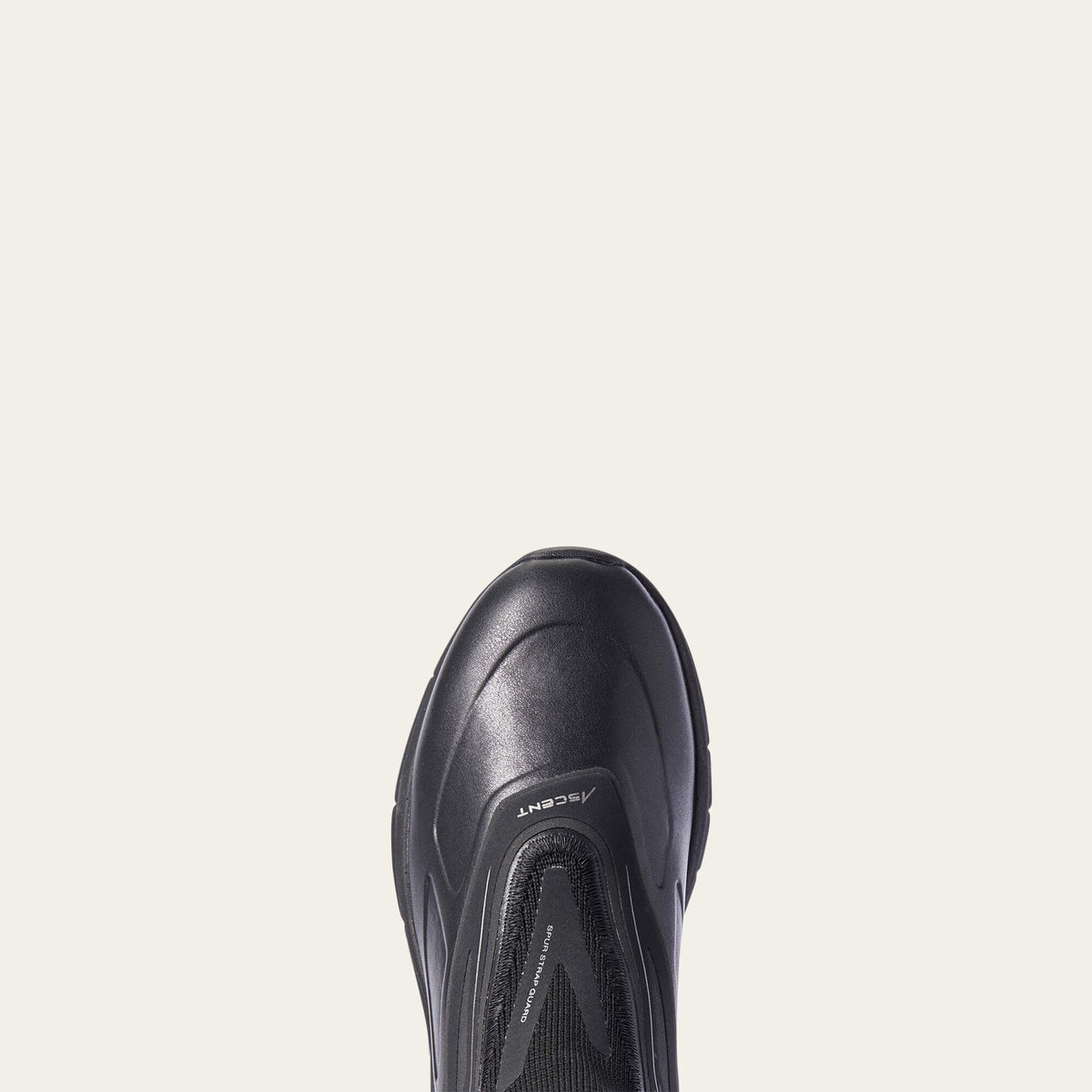 Women Ascent Paddock Boot | Ariat