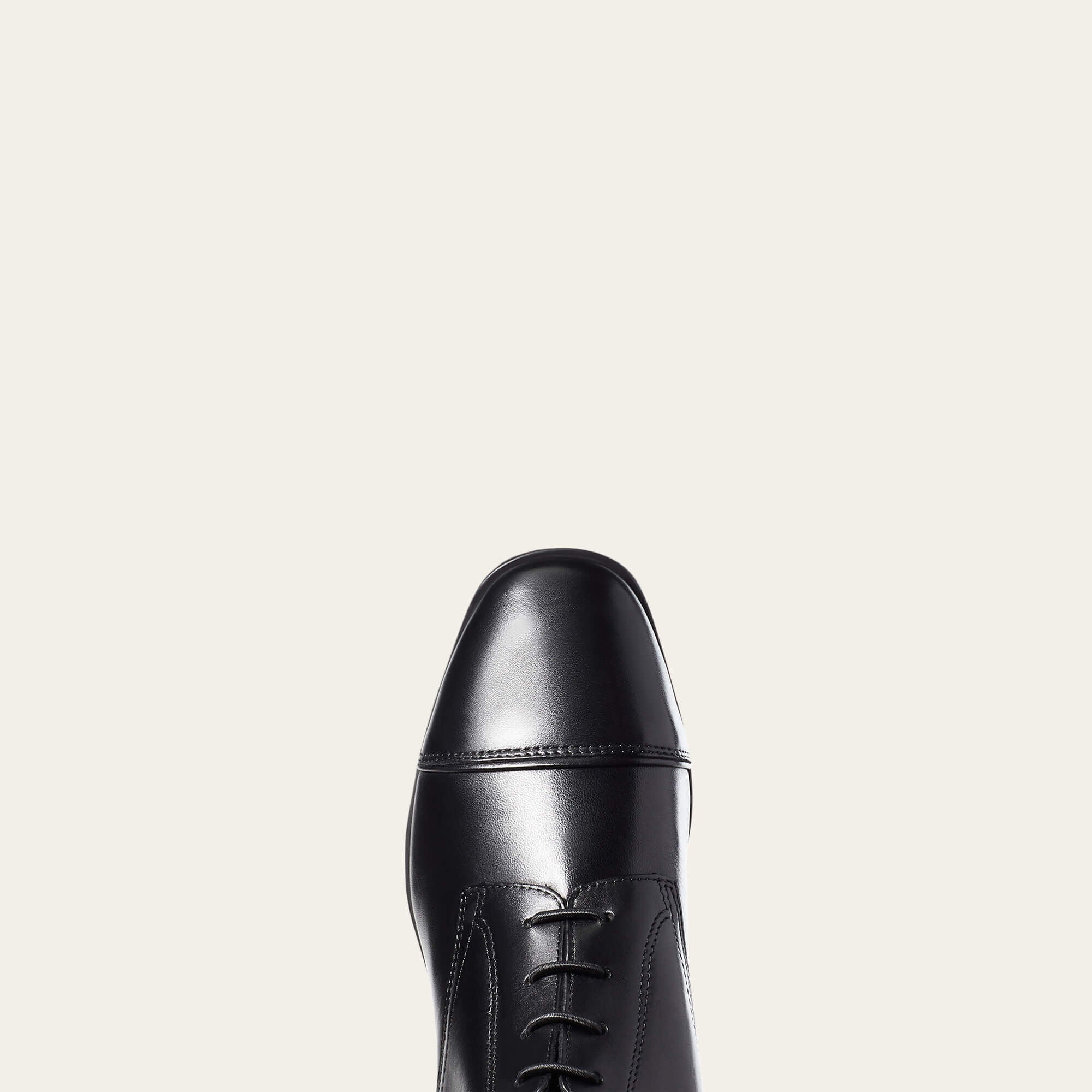 Women Palisade Tall Riding Boot | Ariat near me