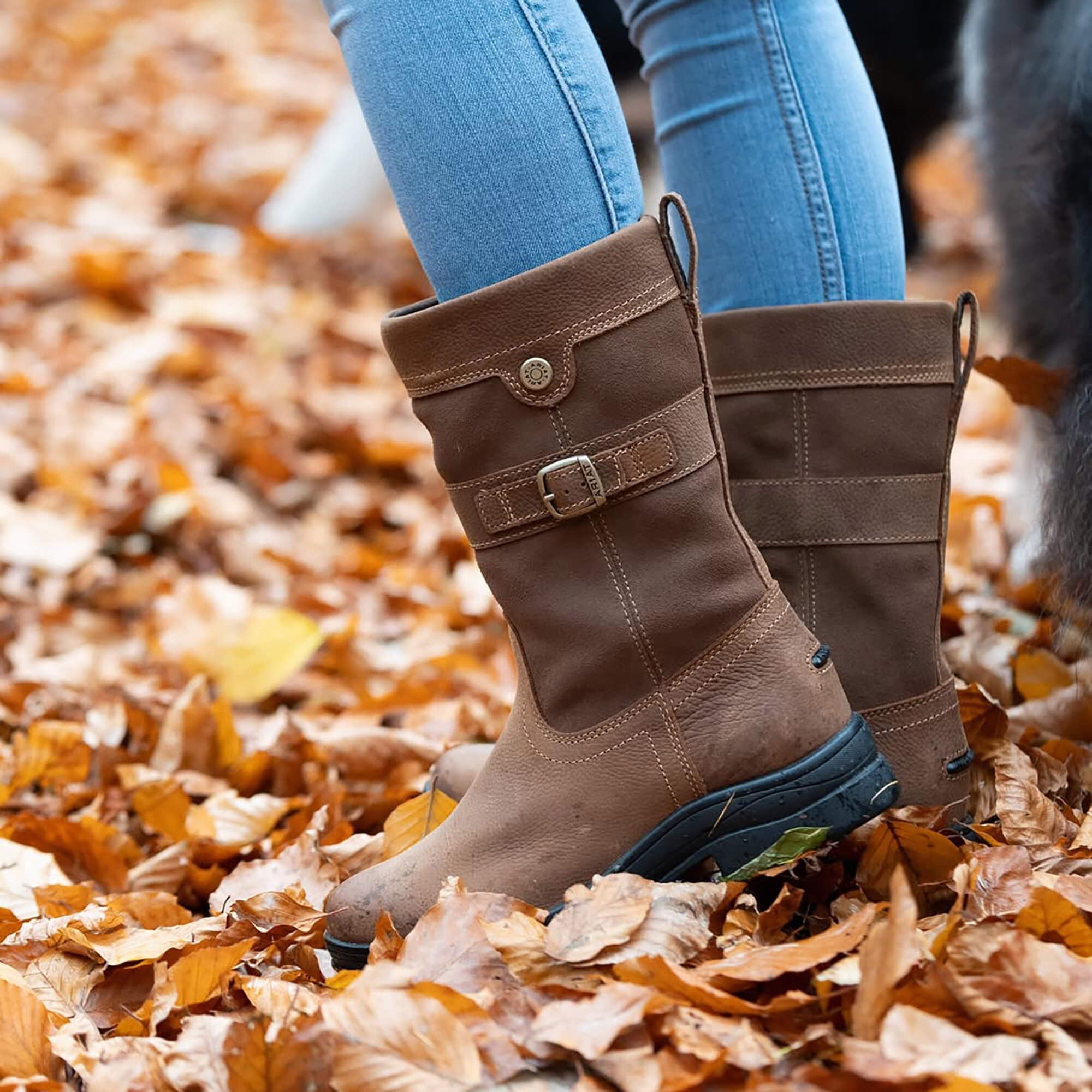 Women|Trends Bampton Waterproof Boot | Ariat on sale