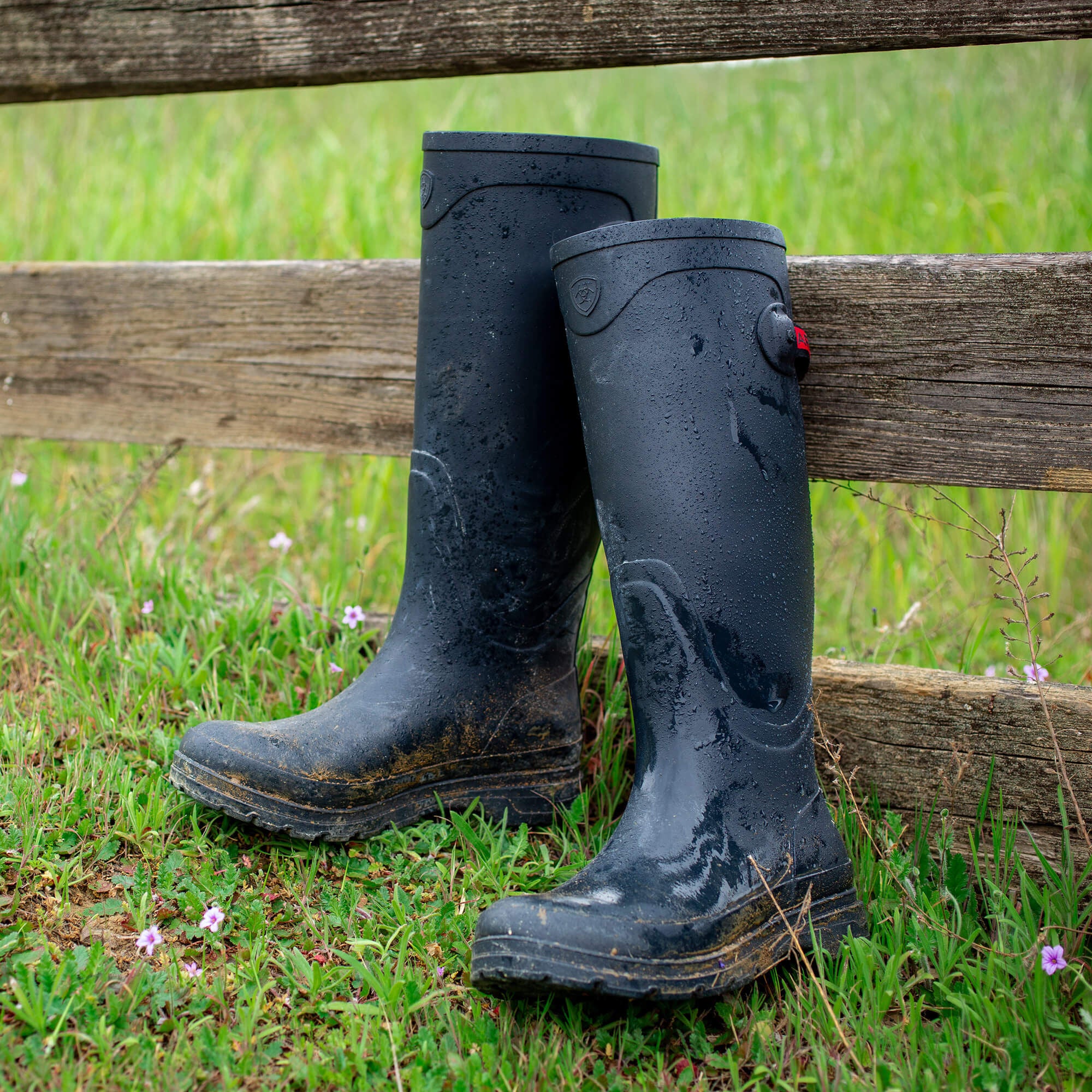 Women|Trends Kelmarsh Rubber Boot | Ariat for sale
