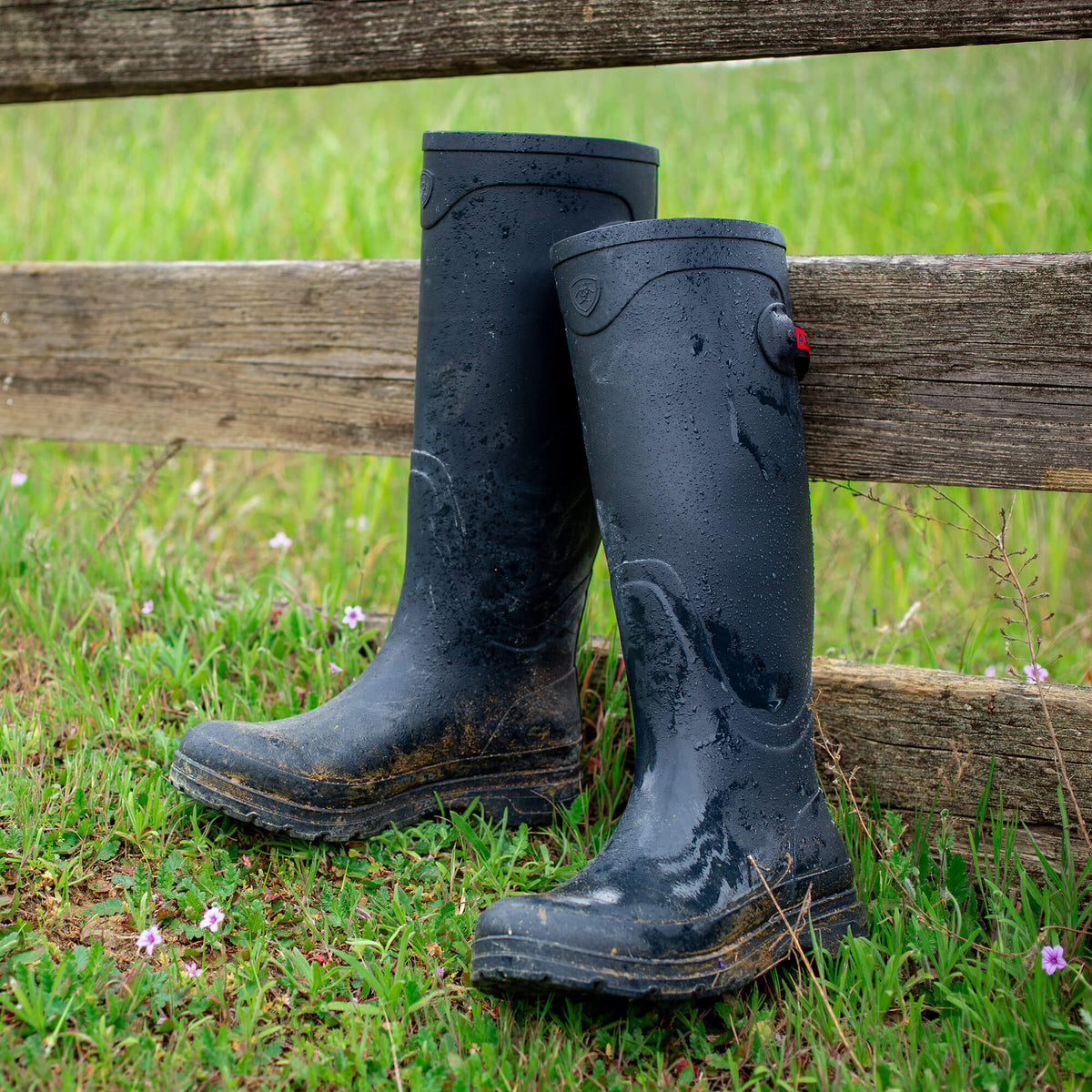 Women|Trends Kelmarsh Rubber Boot | Ariat for sale