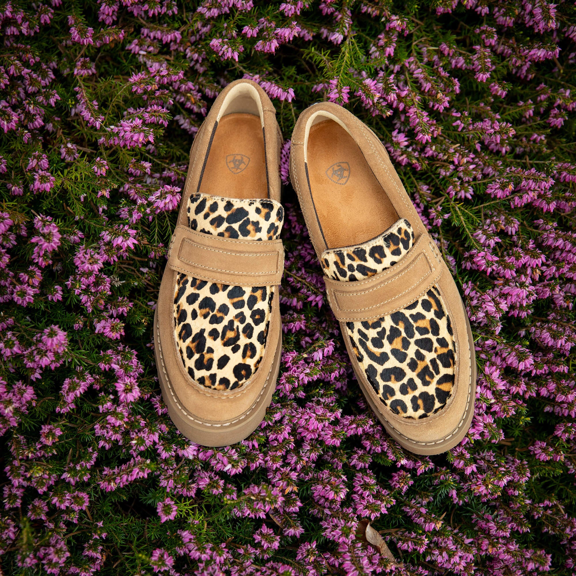 Women|Trends Stratford Lug Loafer | Ariat Online