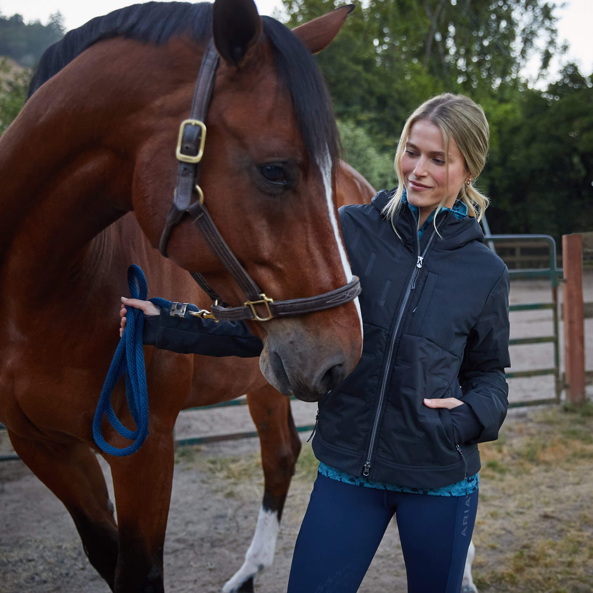 Women Taxore Insulated Jacket | Ariat for sale